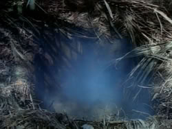 extant_HerculesAndTheAmazonWomen_0361