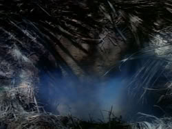 extant_HerculesAndTheAmazonWomen_0365