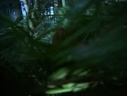 extant_HerculesAndTheAmazonWomen_0371
