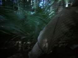 extant_HerculesAndTheAmazonWomen_0372