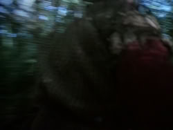 extant_HerculesAndTheAmazonWomen_0373
