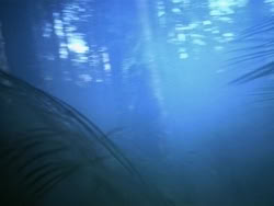 extant_HerculesAndTheAmazonWomen_0374