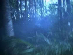 extant_HerculesAndTheAmazonWomen_0375