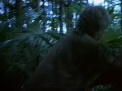 extant_HerculesAndTheAmazonWomen_0379