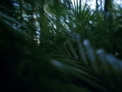 extant_HerculesAndTheAmazonWomen_0380