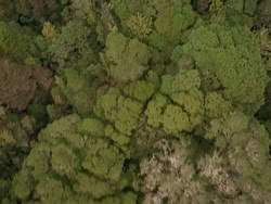 extant_HerculesAndTheAmazonWomen_0423