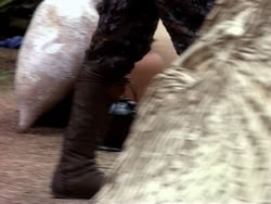 extant_HerculesAndTheAmazonWomen_0590
