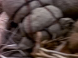 extant_HerculesAndTheAmazonWomen_0608