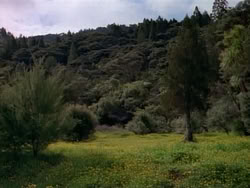 extant_HerculesAndTheAmazonWomen_0707