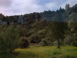 extant_HerculesAndTheAmazonWomen_0709