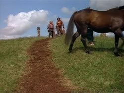 extant_HerculesAndTheAmazonWomen_0713