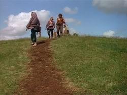 extant_HerculesAndTheAmazonWomen_0716