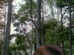 extant_HerculesAndTheAmazonWomen_0947