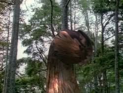 extant_HerculesAndTheAmazonWomen_0948