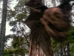 extant_HerculesAndTheAmazonWomen_0958