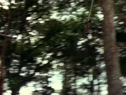extant_HerculesAndTheAmazonWomen_0971