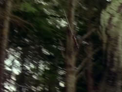 extant_HerculesAndTheAmazonWomen_0973