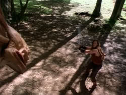 extant_HerculesAndTheAmazonWomen_0976