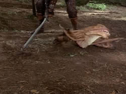 extant_HerculesAndTheAmazonWomen_0980