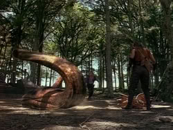 extant_HerculesAndTheAmazonWomen_0984