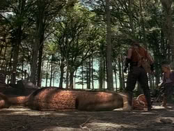 extant_HerculesAndTheAmazonWomen_0987