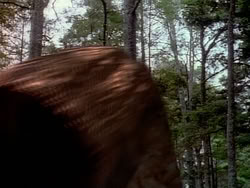 extant_HerculesAndTheAmazonWomen_1007