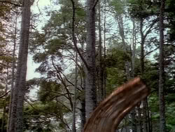 extant_HerculesAndTheAmazonWomen_1008