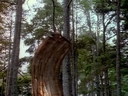 extant_HerculesAndTheAmazonWomen_1009