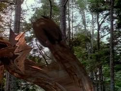 extant_HerculesAndTheAmazonWomen_1010