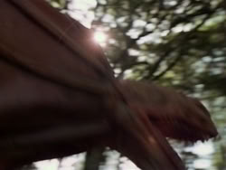 extant_HerculesAndTheAmazonWomen_1017