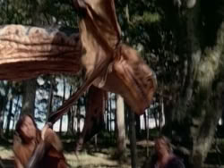 extant_HerculesAndTheAmazonWomen_1019
