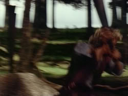 extant_HerculesAndTheAmazonWomen_1052