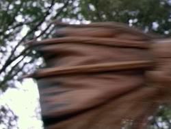 extant_HerculesAndTheAmazonWomen_1057