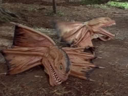 extant_HerculesAndTheAmazonWomen_1067