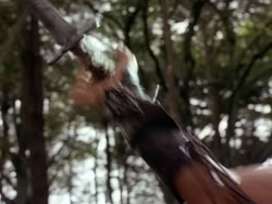 extant_HerculesAndTheAmazonWomen_1071
