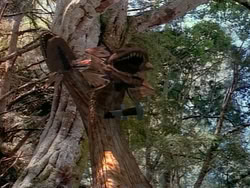 extant_HerculesAndTheAmazonWomen_1078