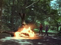 extant_HerculesAndTheAmazonWomen_1091