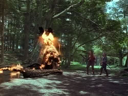 extant_HerculesAndTheAmazonWomen_1092