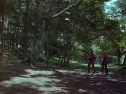 extant_HerculesAndTheAmazonWomen_1097