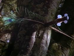 extant_HerculesAndTheAmazonWomen_1113