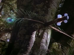 extant_HerculesAndTheAmazonWomen_1114