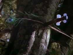 extant_HerculesAndTheAmazonWomen_1115