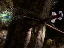 extant_HerculesAndTheAmazonWomen_1148