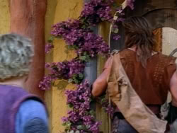 extant_HerculesAndTheAmazonWomen_1166