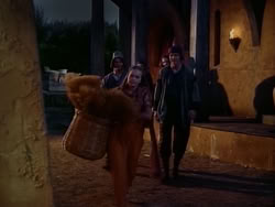 extant_HerculesAndTheAmazonWomen_1484