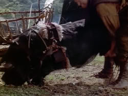 extant_HerculesAndTheAmazonWomen_1952
