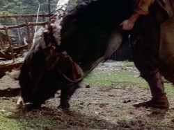 extant_HerculesAndTheAmazonWomen_1954