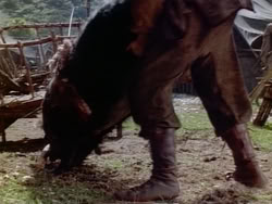 extant_HerculesAndTheAmazonWomen_1955