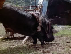 extant_HerculesAndTheAmazonWomen_1957