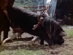 extant_HerculesAndTheAmazonWomen_1958